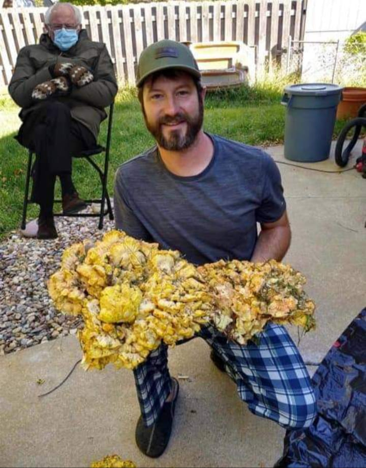 3&ccb=1-5&_nc_sid=825194&_nc_ohc=TYVM3aan9wYAX9auXwy&tn=ZdEPRgGV5Q7M7mMw&_nc_ht=scontent.fykz2-1.