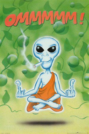 305221_4028229838011_2057855522_n.