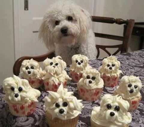 311637_10150961739251851_2102468066_n-1.