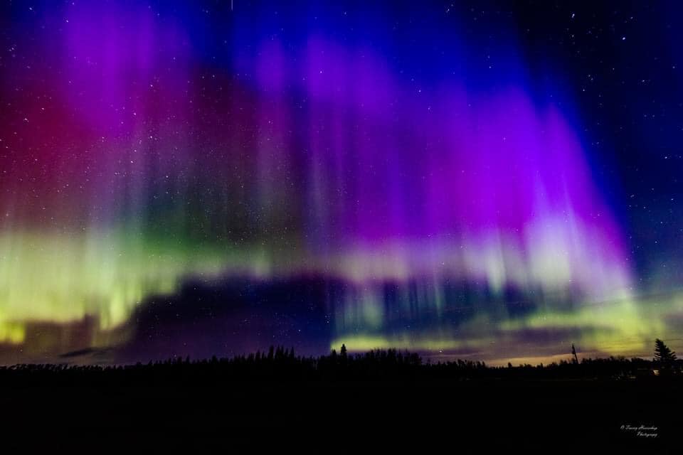 36311_n.?_nc_cat=1&ccb=1-5&_nc_sid=b9115d&_nc_ohc=78bveF2i_jsAX-X1Jad&_nc_ht=scontent.fykz2-1.