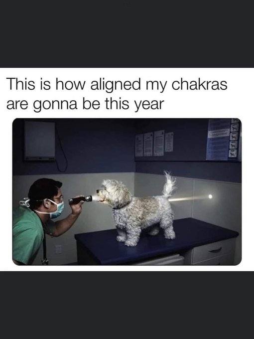 3753_n.?_nc_cat=101&ccb=1-7&_nc_sid=730e14&_nc_ohc=b0WpGbu9de0AX_3iLIW&_nc_ht=scontent-yyz1-1.