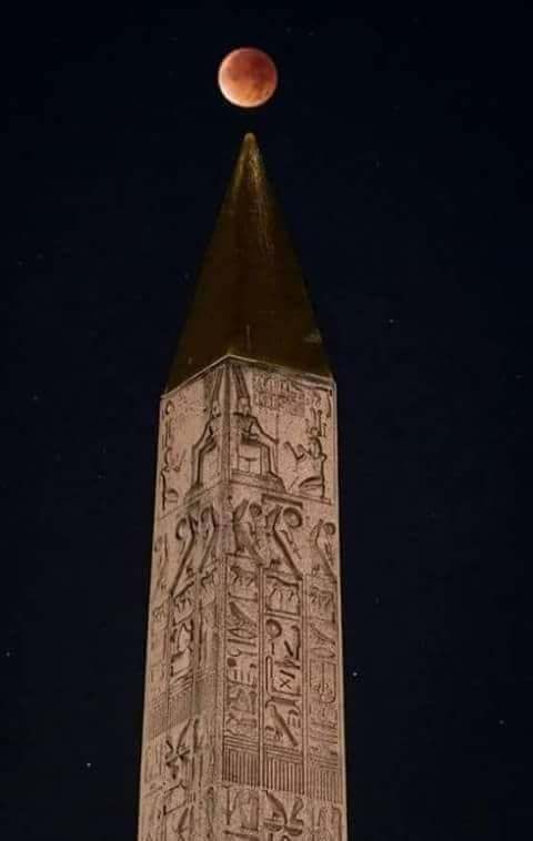 37893696_10156552356910120_8307637318030721024_n[1].