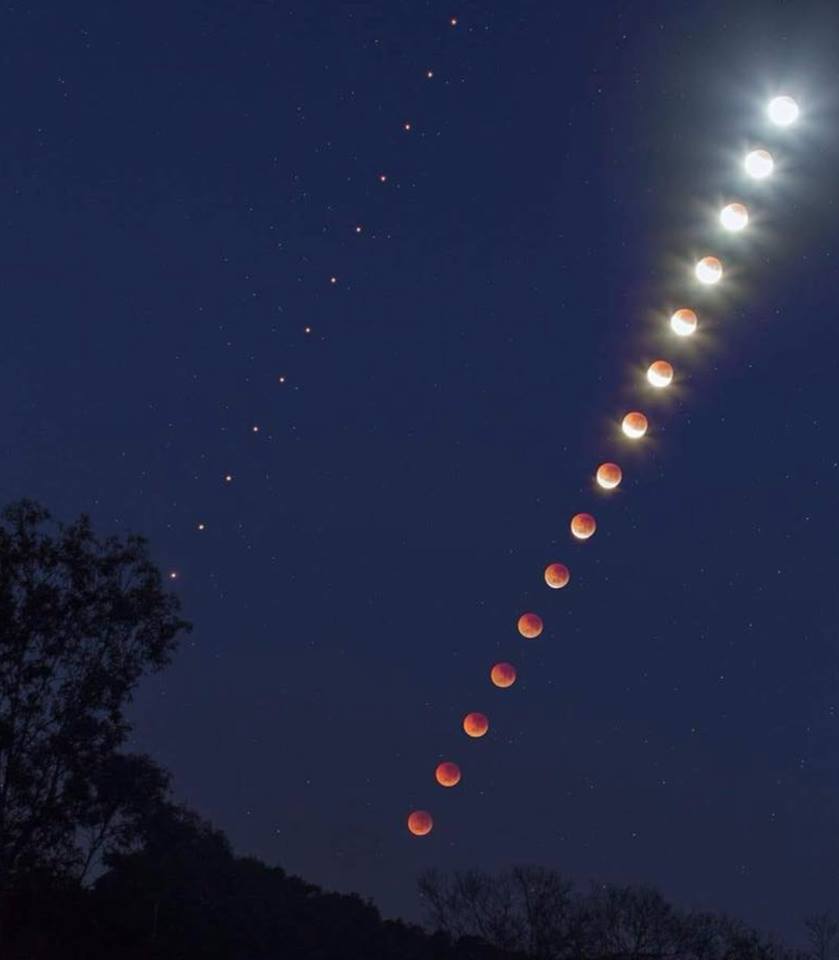 37968341_10160763769980596_3576319705742311424_n[1].