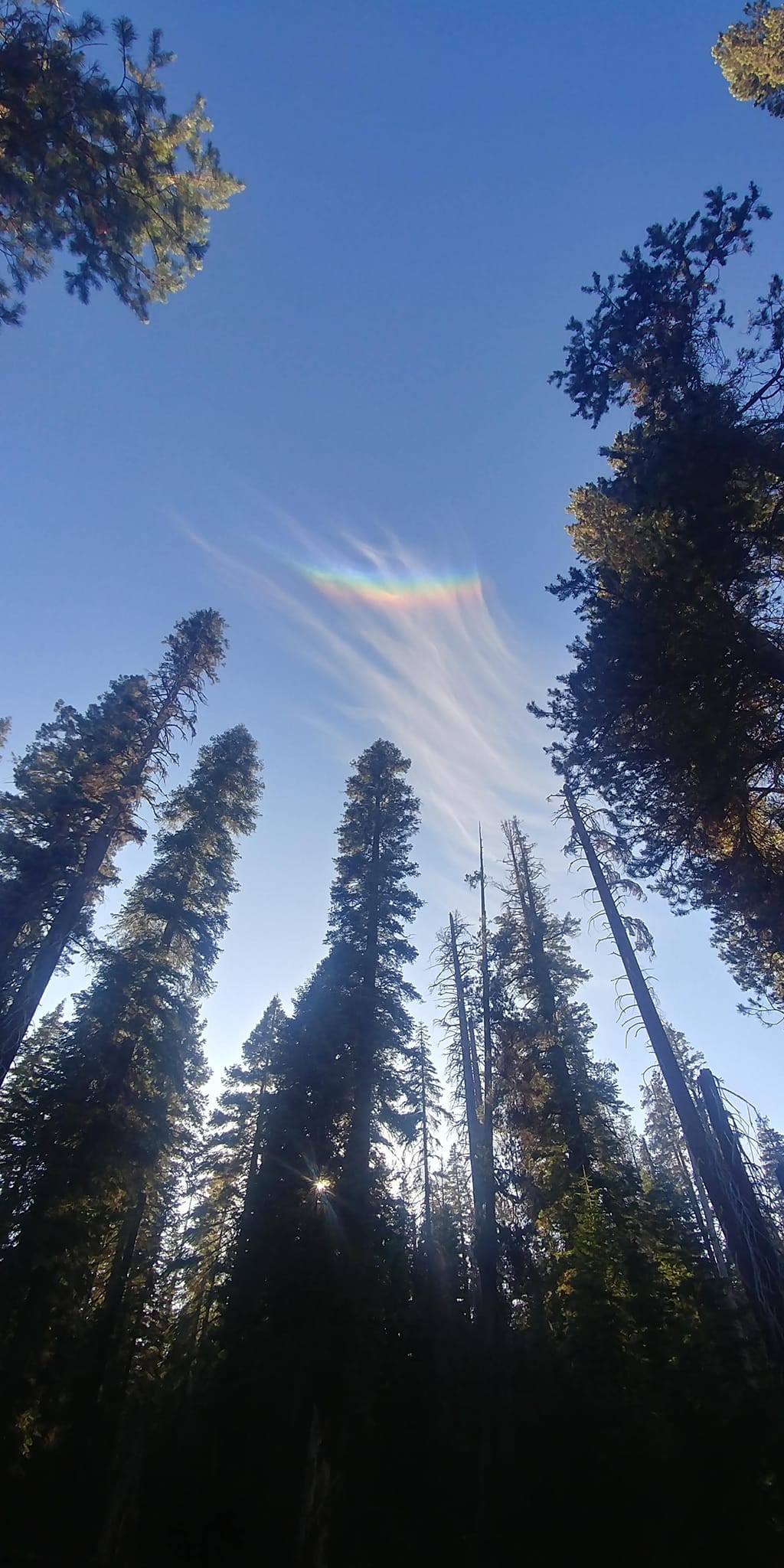 3902_n.?_nc_cat=103&ccb=1-5&_nc_sid=730e14&_nc_ohc=AAUo-1KF8V0AX_SlsvE&_nc_ht=scontent-yyz1-1.