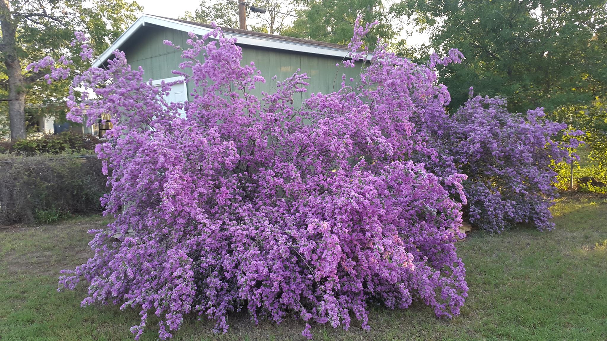 39913611_10209654737603766_1421307933555163136_o[1].