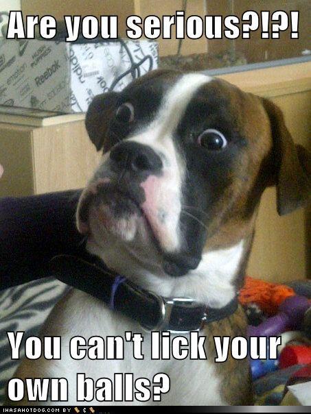 406258_447936338563016_490810122_n.