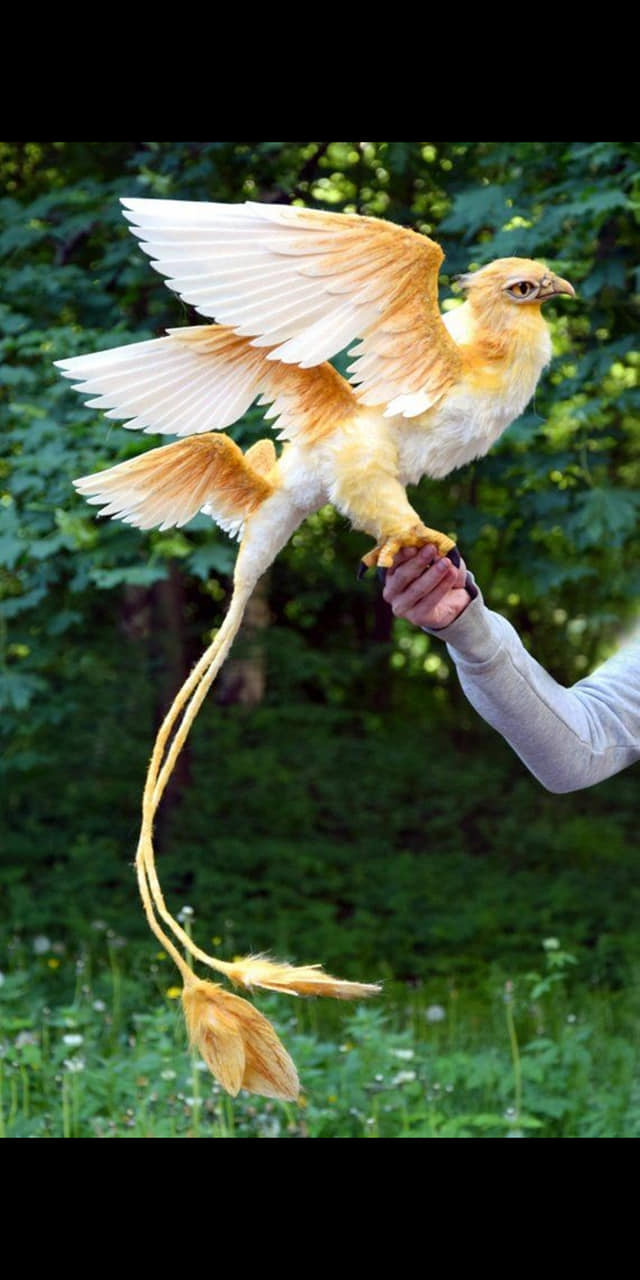 407_n.?_nc_cat=104&ccb=1-5&_nc_sid=8bfeb9&_nc_ohc=-HtlrOoNp0kAX85M7SV&_nc_ht=scontent.fykz2-1.