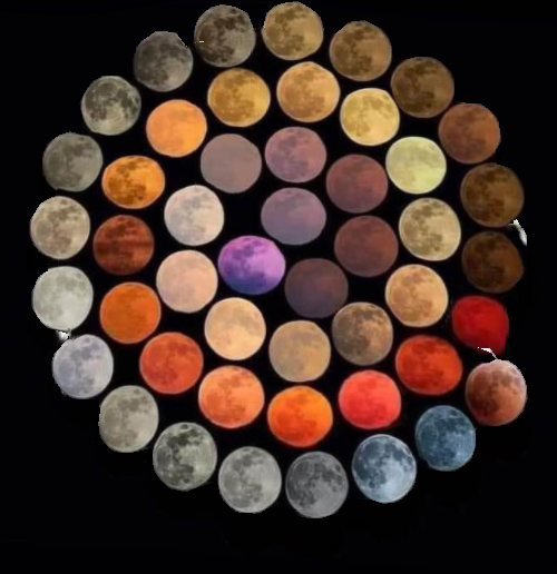 48moons.