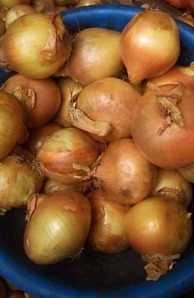 490_n.?_nc_cat=106&ccb=1-5&_nc_sid=8bfeb9&_nc_ohc=7VKVXHdAD7kAX90DpAy&_nc_ht=scontent.fykz2-1.