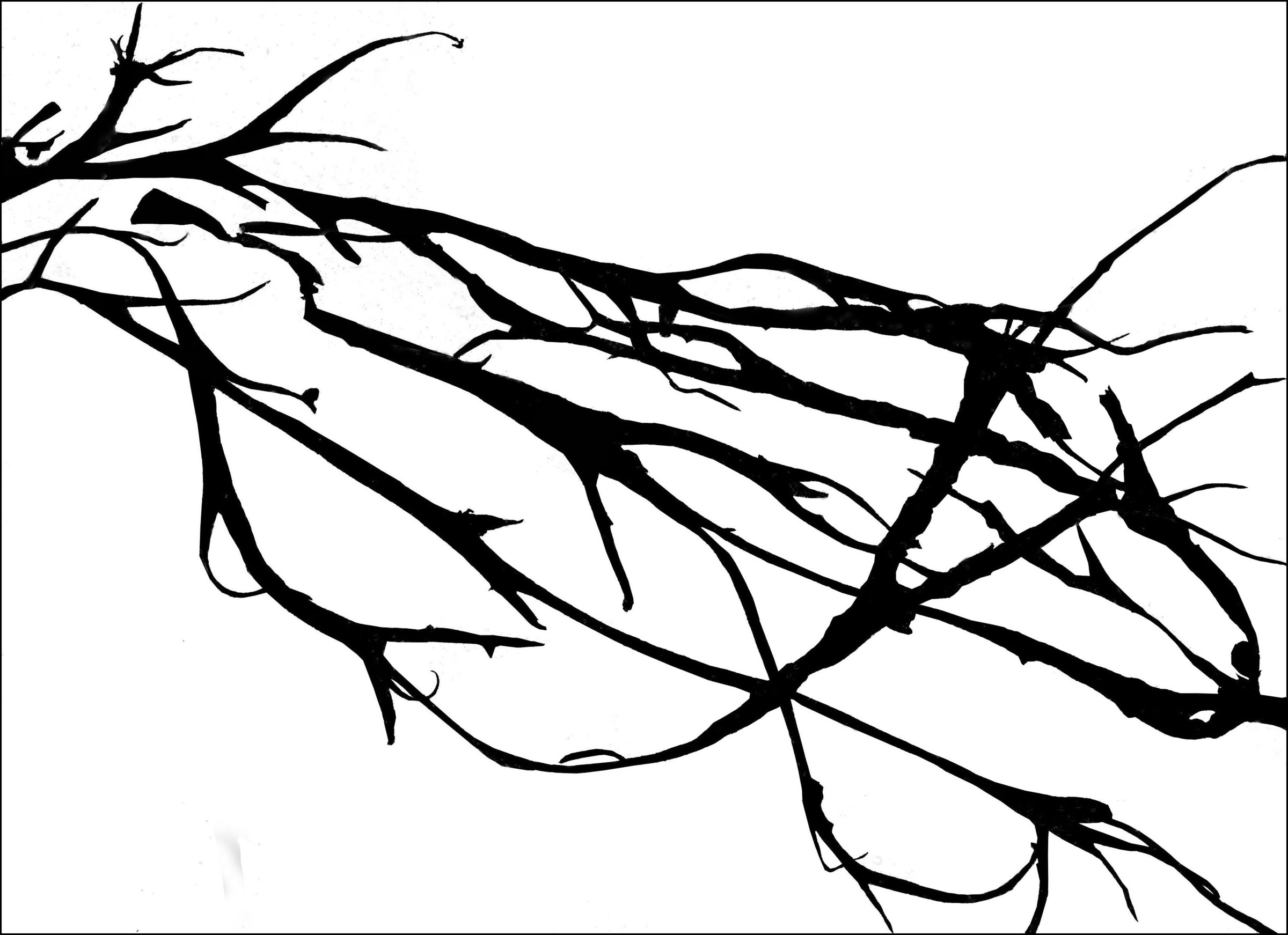 4_abstract-166-seaweed-silhouette.