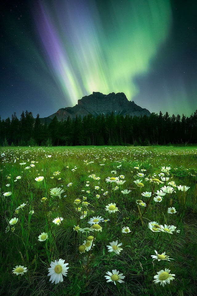 4august2019paulziska.