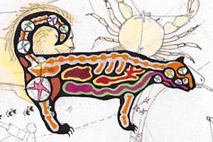 50051836788_4cbbed1213_o.