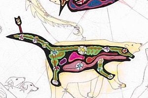 50051836803_764df8e0ee_o.