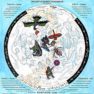 50051836888_74769d99a5_o.