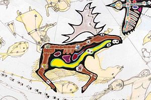 50052415901_ee3c250842_o.