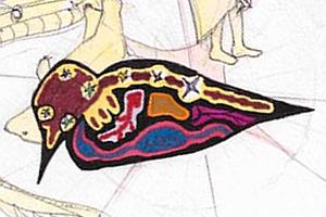 50052415911_4b721c2411_o.