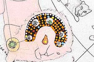 50052659437_9e96c4d486_o.