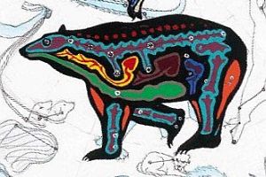 50321663288_486b62380a_o.