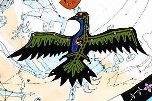 50322508932_77cf9d93d6_o.