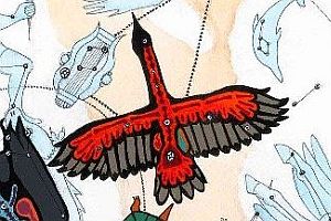 50322508957_d717a2b40c_o.