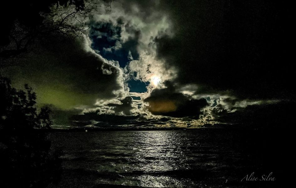 511_n.?_nc_cat=106&ccb=1-5&_nc_sid=b9115d&_nc_ohc=86M8I9Uck9gAX-07U4M&_nc_ht=scontent.fykz2-1.