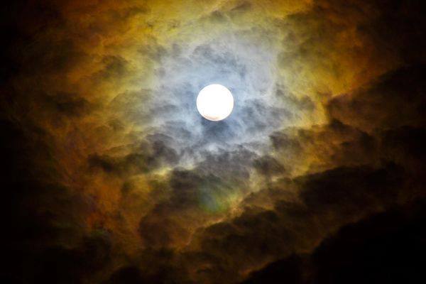 515_n.?_nc_cat=107&ccb=1-5&_nc_sid=825194&_nc_ohc=LAZwSqKggG0AX9VzPxl&_nc_ht=scontent.fykz2-1.