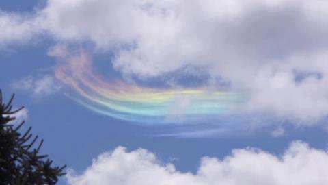 529496_10150911057791752_1233046222_n-.