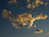 553482_346471582094034_848859010_n.