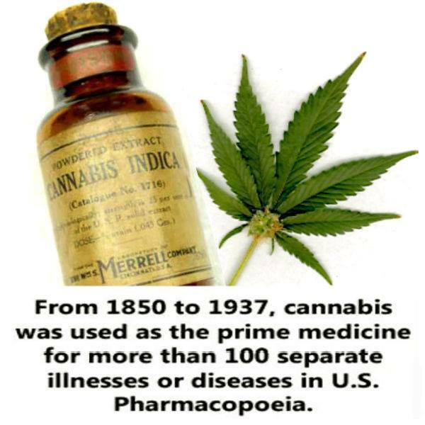 555867_435981859854904_729772327_n.