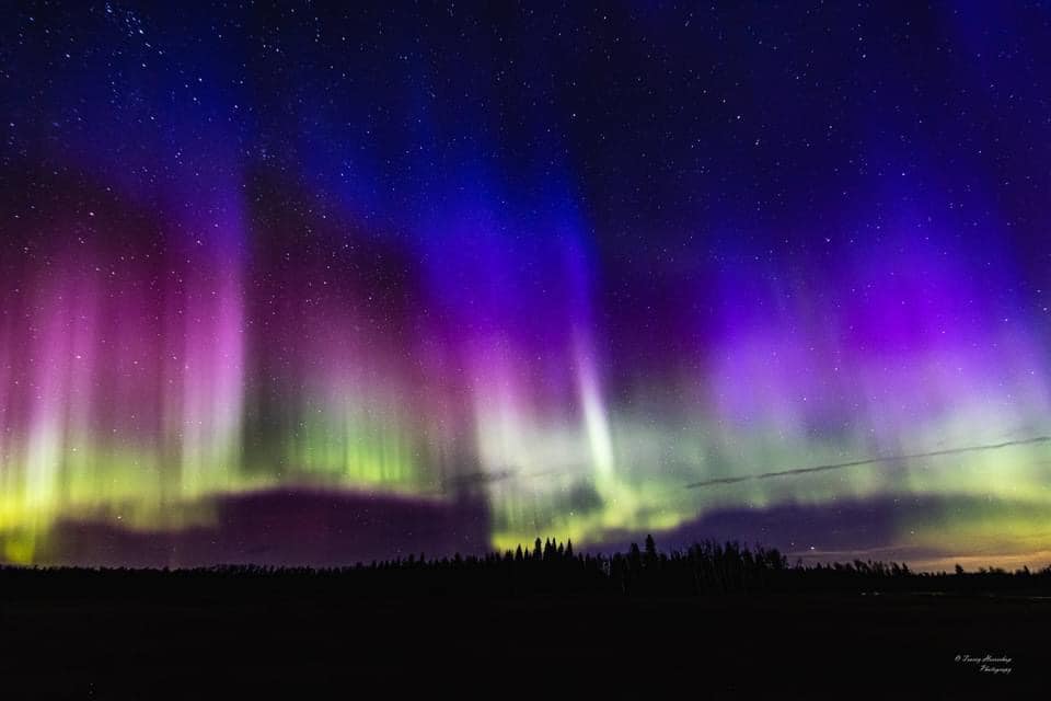 55965_n.?_nc_cat=1&ccb=1-5&_nc_sid=b9115d&_nc_ohc=yObanpnt2AQAX903M2i&_nc_ht=scontent.fykz2-1.