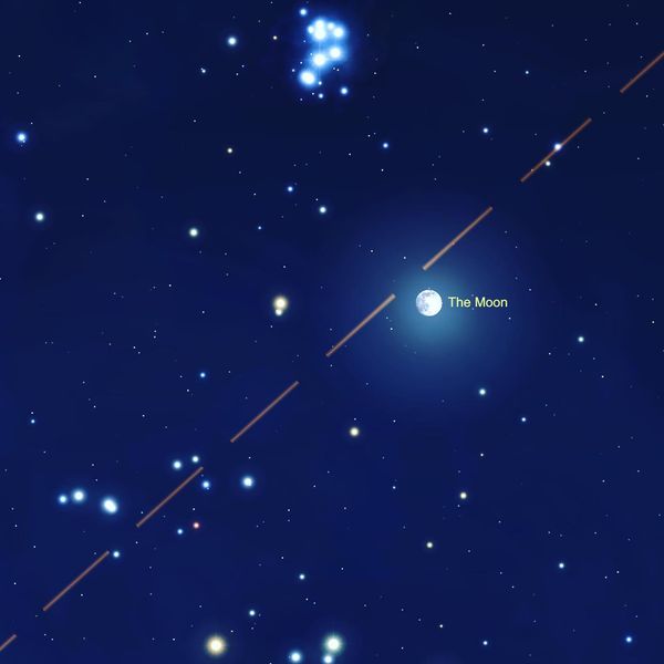 5720_n.?_nc_cat=106&ccb=1-5&_nc_sid=730e14&_nc_ohc=BWqCw-rXNgEAX-P7m4Y&_nc_ht=scontent-yyz1-1.