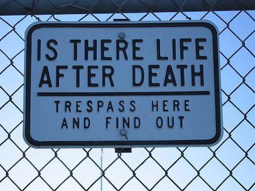 577095_426289777431228_2069789145_n.