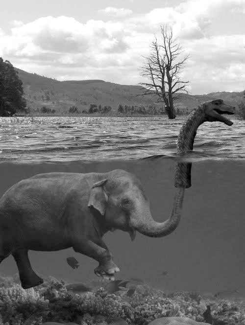 581287_464863626867009_1553486176_n.