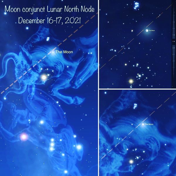 6147_n.?_nc_cat=106&ccb=1-5&_nc_sid=730e14&_nc_ohc=CH8jVgjO-CkAX-aIkFr&_nc_ht=scontent-yyz1-1.