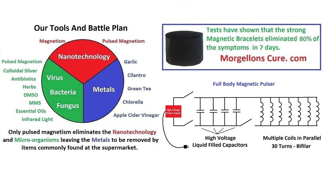 6384_n.?_nc_cat=101&ccb=1-7&_nc_sid=8631f5&_nc_ohc=jv3VPw14x80AX9LuWnX&_nc_ht=scontent-yyz1-1.