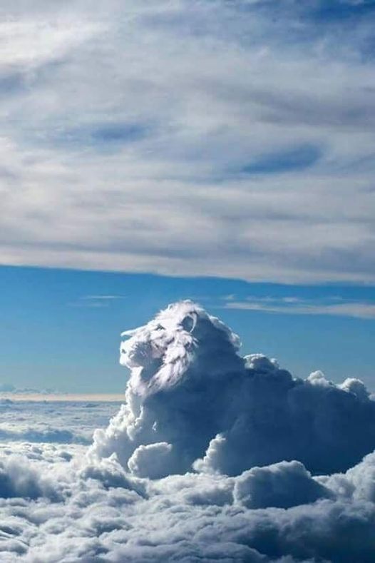 649_n.?_nc_cat=102&ccb=1-5&_nc_sid=8bfeb9&_nc_ohc=p3rlvsVQp0sAX8geH2e&_nc_ht=scontent.fykz2-1.