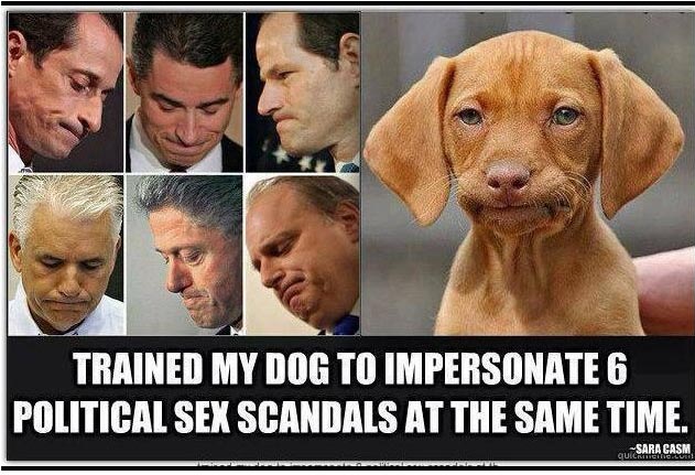 65750d1381096076-how-see-if-your-dog-has-been-involved-sex-scandal-dog.