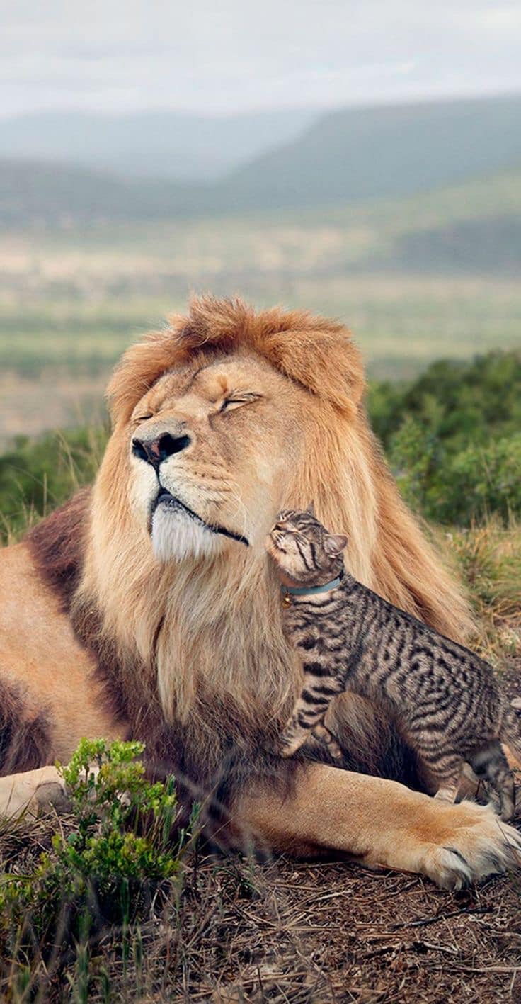 6621_n.?_nc_cat=102&ccb=1-7&_nc_sid=8bfeb9&_nc_ohc=2jPbWXbqAOkAX-cFSzf&_nc_ht=scontent-yyz1-1.