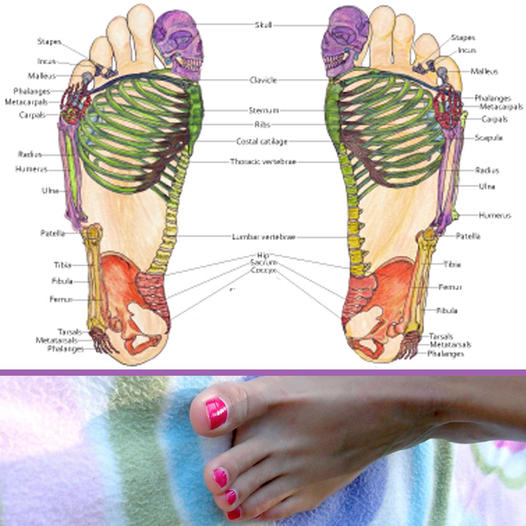 6_q75_spS444&_nc_cat=1&ccb=1-7&_nc_sid=67cdda&_nc_ohc=JaSPdAF365wAX_BxF6a&_nc_ht=scontent-yyz1-1.