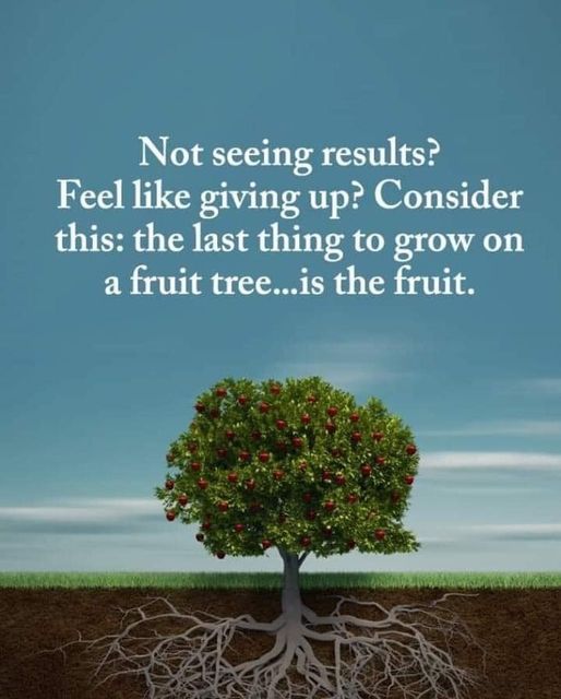 7&ccb=1-5&_nc_sid=8bfeb9&_nc_ohc=pTWjdNEHUl8AX8NdiP2&tn=ZdEPRgGV5Q7M7mMw&_nc_ht=scontent.fykz2-1.