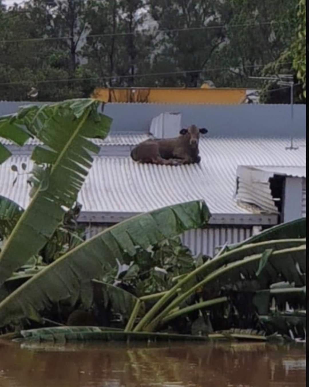 713_n.?_nc_cat=100&ccb=1-5&_nc_sid=730e14&_nc_ohc=Q8VHtwKPVzcAX_id6e9&_nc_ht=scontent.fykz2-1.