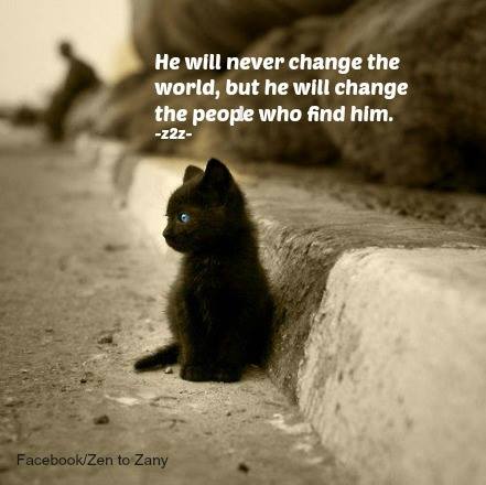 7168_n.?_nc_cat=109&ccb=1-7&_nc_sid=730e14&_nc_ohc=4oX664v0Fz8AX_4-QyM&_nc_ht=scontent-yyz1-1.