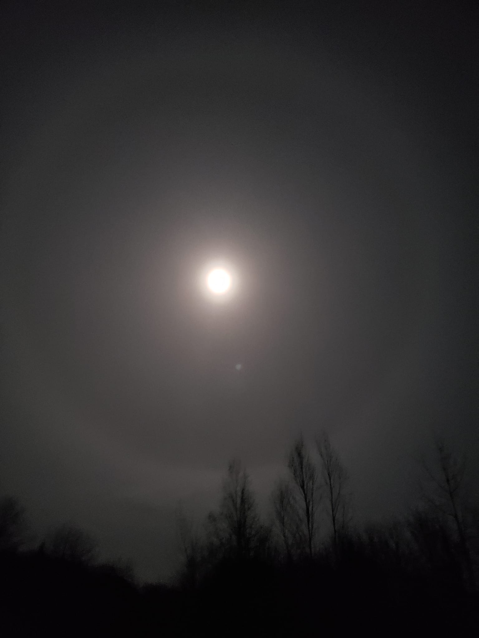 717_n.?_nc_cat=106&ccb=1-5&_nc_sid=8bfeb9&_nc_ohc=fu_FsWXNi7AAX-3jsm-&_nc_ht=scontent.fykz2-1.