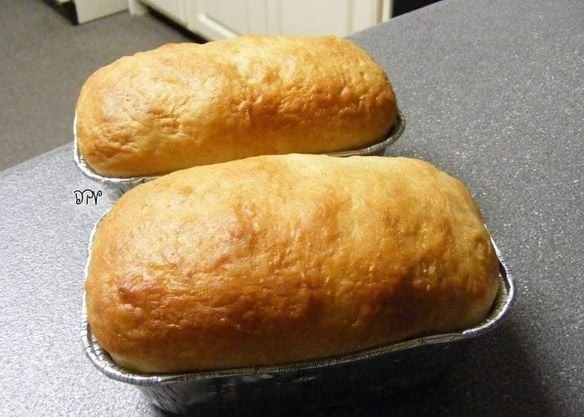 7344_n.?_nc_cat=100&ccb=1-7&_nc_sid=730e14&_nc_ohc=6S4NVIbE3Y8AX9Bnt3m&_nc_ht=scontent-yyz1-1.