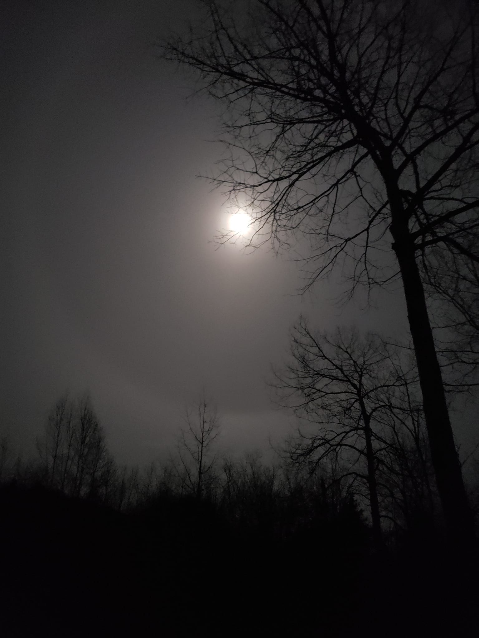 746_n.?_nc_cat=108&ccb=1-5&_nc_sid=8bfeb9&_nc_ohc=SWRO9wgrxfsAX_i625r&_nc_ht=scontent.fykz2-1.