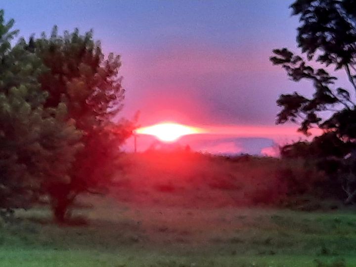 7sep2021SandiLeFaucheur.