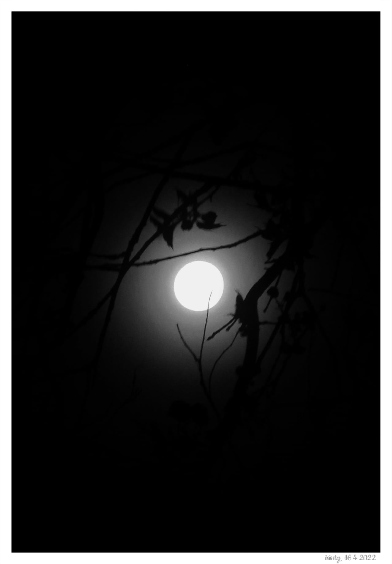 8152_n.?_nc_cat=108&ccb=1-5&_nc_sid=730e14&_nc_ohc=uf-dC9eAZPwAX8qp8pV&_nc_ht=scontent-yyz1-1.