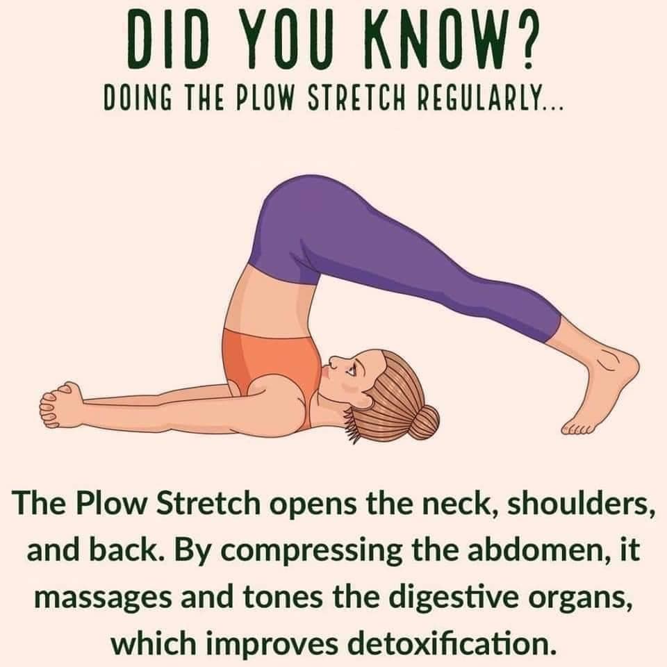 86848_n.?_nc_cat=1&ccb=1-5&_nc_sid=8bfeb9&_nc_ohc=yhfUuNi0LaQAX9VWLkK&_nc_ht=scontent.fykz2-1.