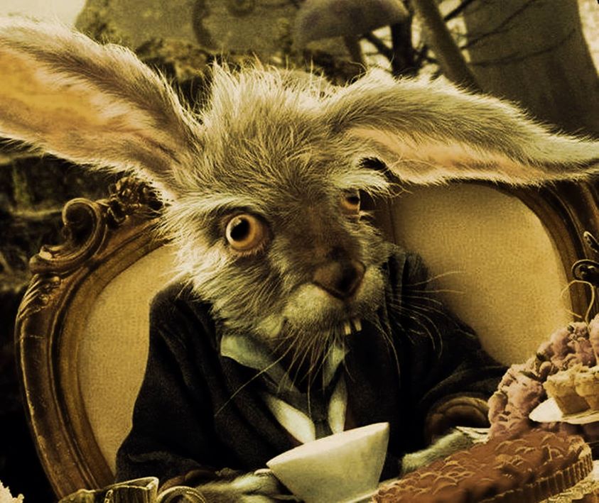 893991_10202670137946834_1115396933_o.