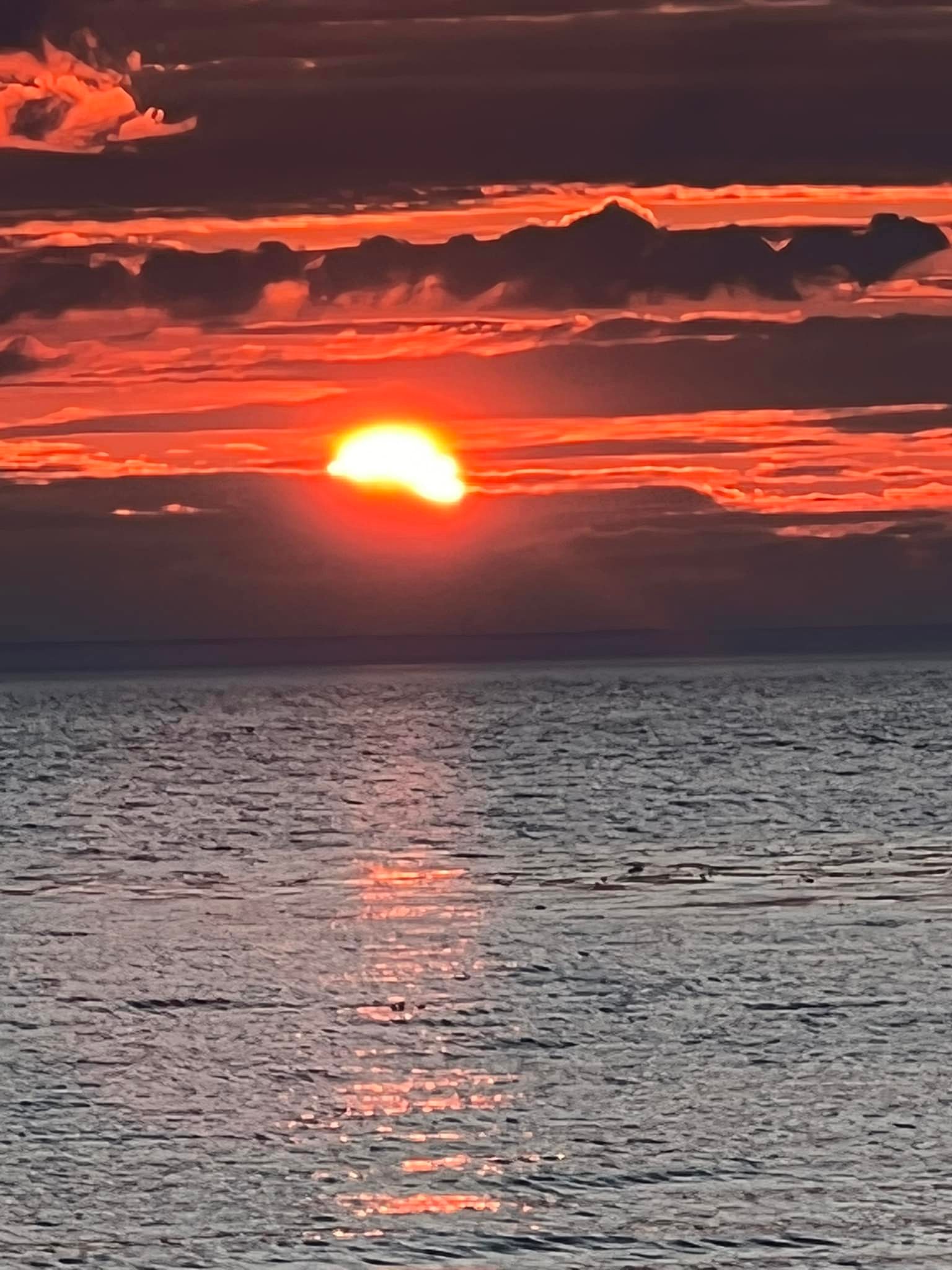 9&ccb=1-5&_nc_sid=5cd70e&_nc_ohc=mr0qVfYclDQAX_Zlr18&tn=ZdEPRgGV5Q7M7mMw&_nc_ht=scontent.fykz2-1.